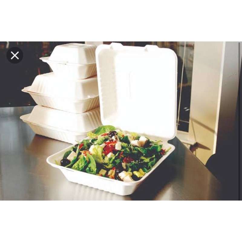 Plain meal box (Bagasse)