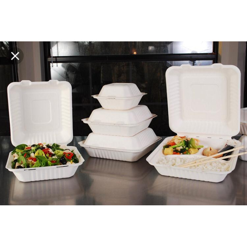 Plain meal box (Bagasse)